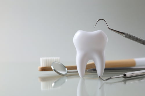Dental model illustrating coverage concepts under the Canadian Dental Care Plan for essential dental services.